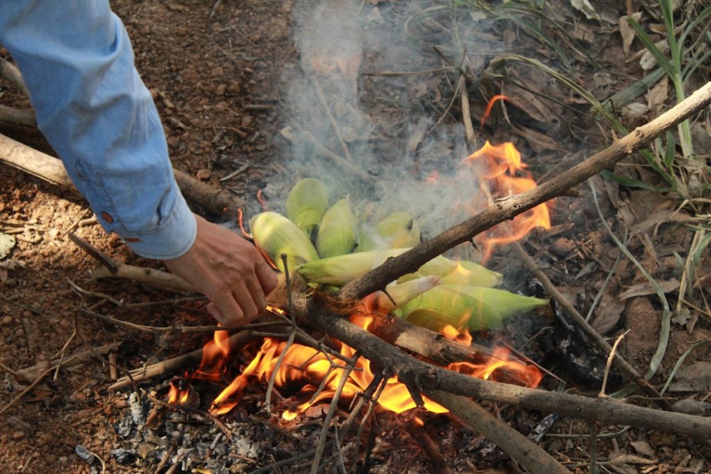 découvrez nos astuces et recettes pour cuisiner le maïs de manière savoureuse et originale, que ce soit en épi, en salade ou en accompagnement.