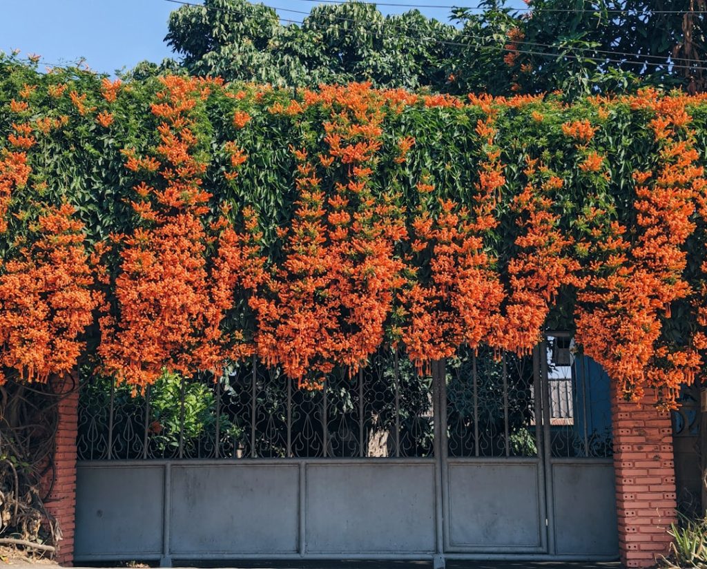 découvrez notre sélection de cale-porte pratiques et efficaces pour maintenir vos portes ouvertes facilement et en toute sécurité.
